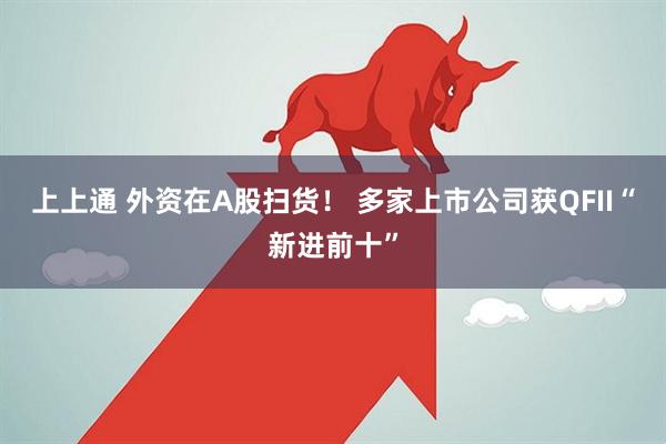 上上通 外资在A股扫货！ 多家上市公司获QFII“新进前十”