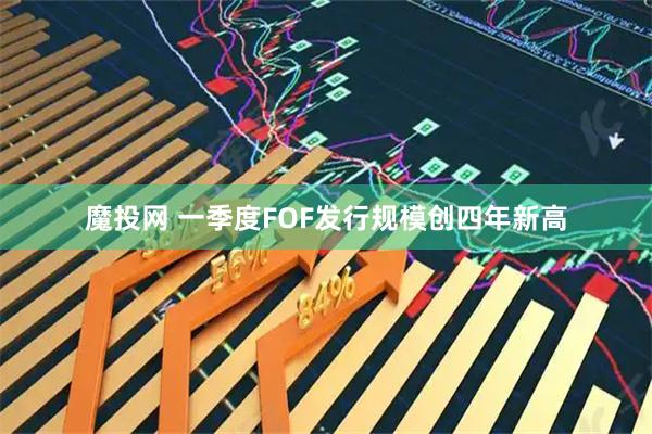 魔投网 一季度FOF发行规模创四年新高