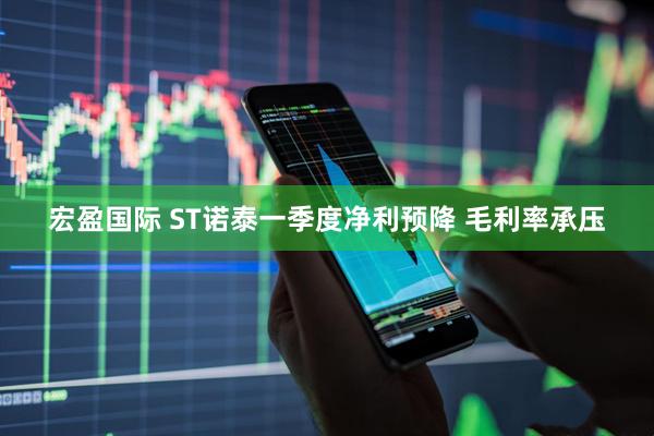 宏盈国际 ST诺泰一季度净利预降 毛利率承压