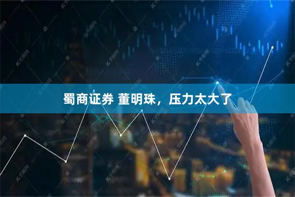 蜀商证券 董明珠，压力太大了